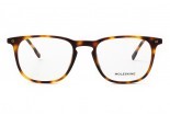 Eyeglasses MOLESKINE 31 MO1156