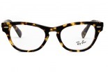Eyeglasses RAY BAN rb 2201-v laramie 8116