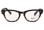 Eyeglasses RAY BAN rb 2201-v laramie 8118