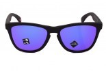 Солнцезащитные очки OAKLEY Frogskins OO9013-H655 Prizm