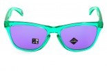 Okulary przeciwsłoneczne OAKLEY Frogskins OO9013-J855