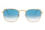 Sonnenbrille RAY BAN rb 3857 frank 9196 / 3f