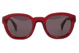 солнцезащитные очки DANDY'S Regent RO24