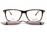 Eyeglasses MOLESKINE MO1183 32 Clip On