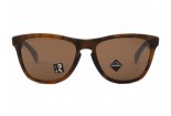 Солнцезащитные очки OAKLEY Frogskins OO9013-C555 Prizm