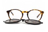 Briller med solklemme INVU M4215 B