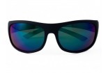 Sunglasses INVU A2106 P