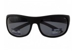 Солнцезащитные очки INVU A2106 A