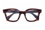 DANDY'S Menelao msvl Brown Purple eyeglasses