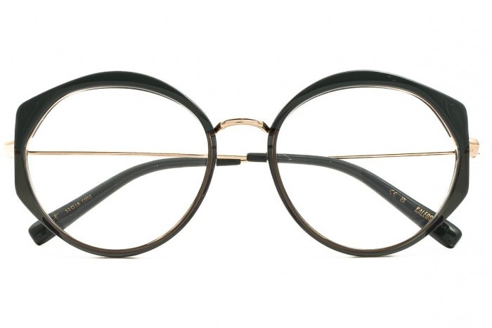 KALEOS Cole 002 glasögon